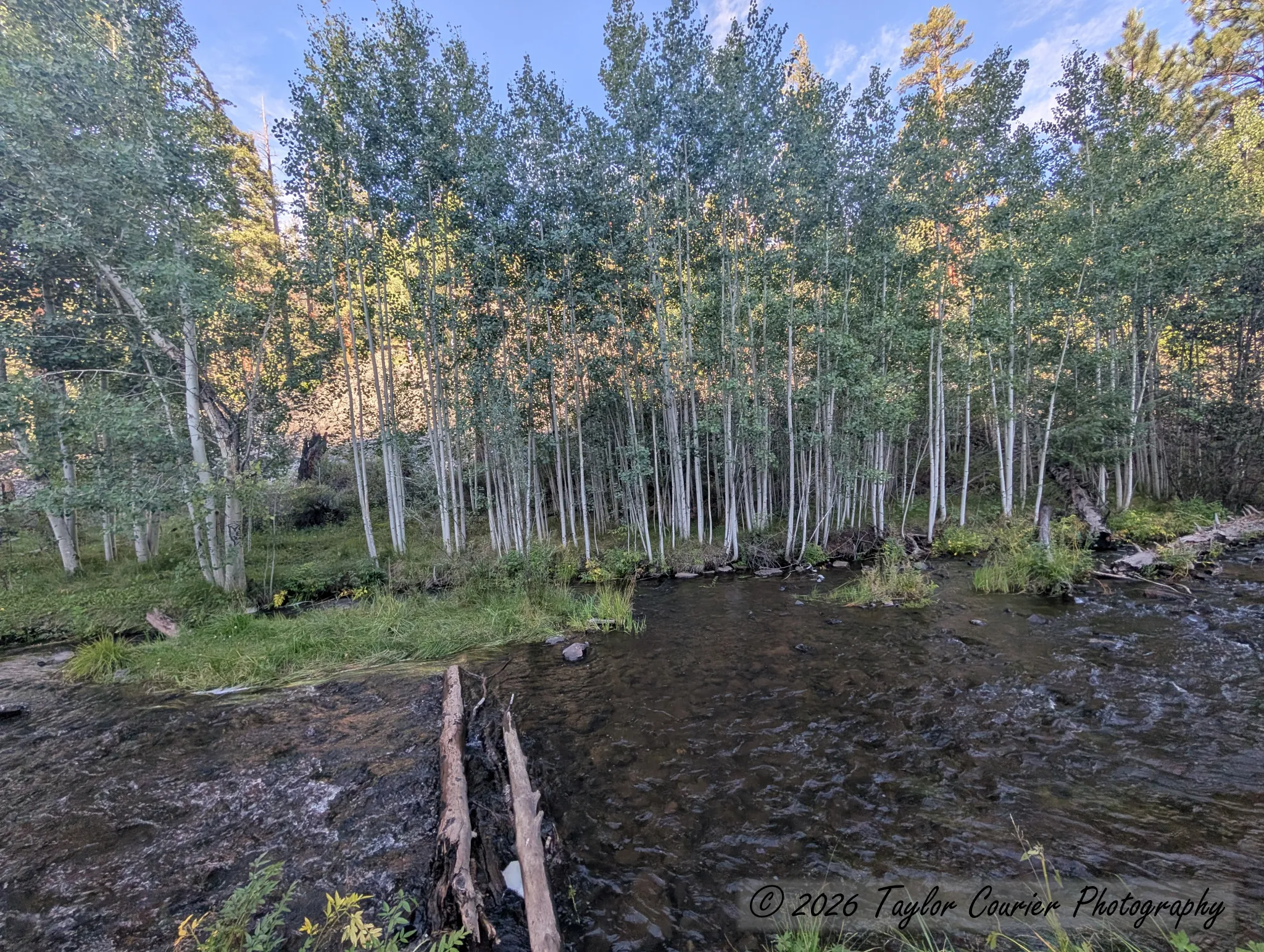 West Fork Little Colorado River