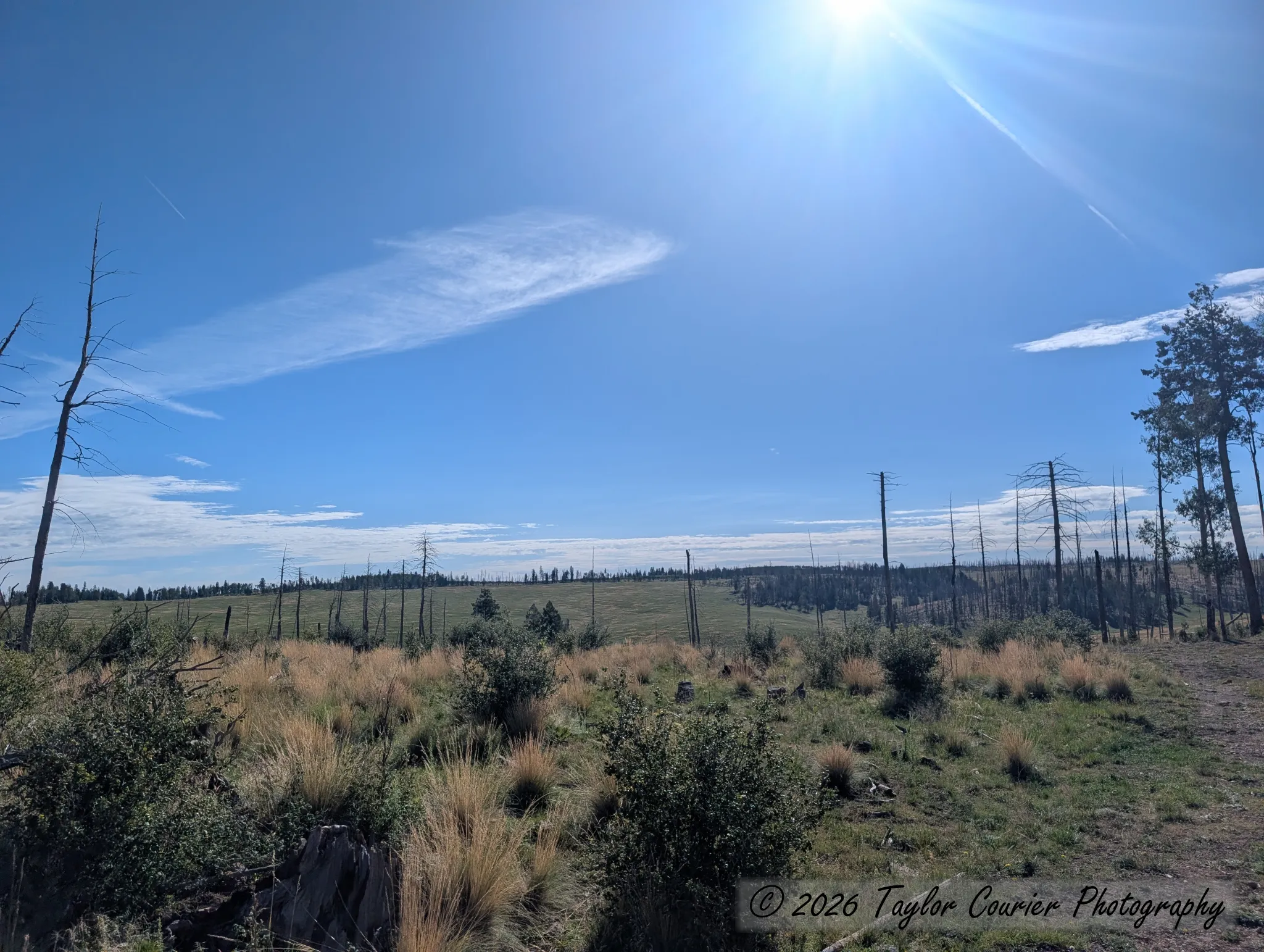 First campsite near Escudilla Mountain