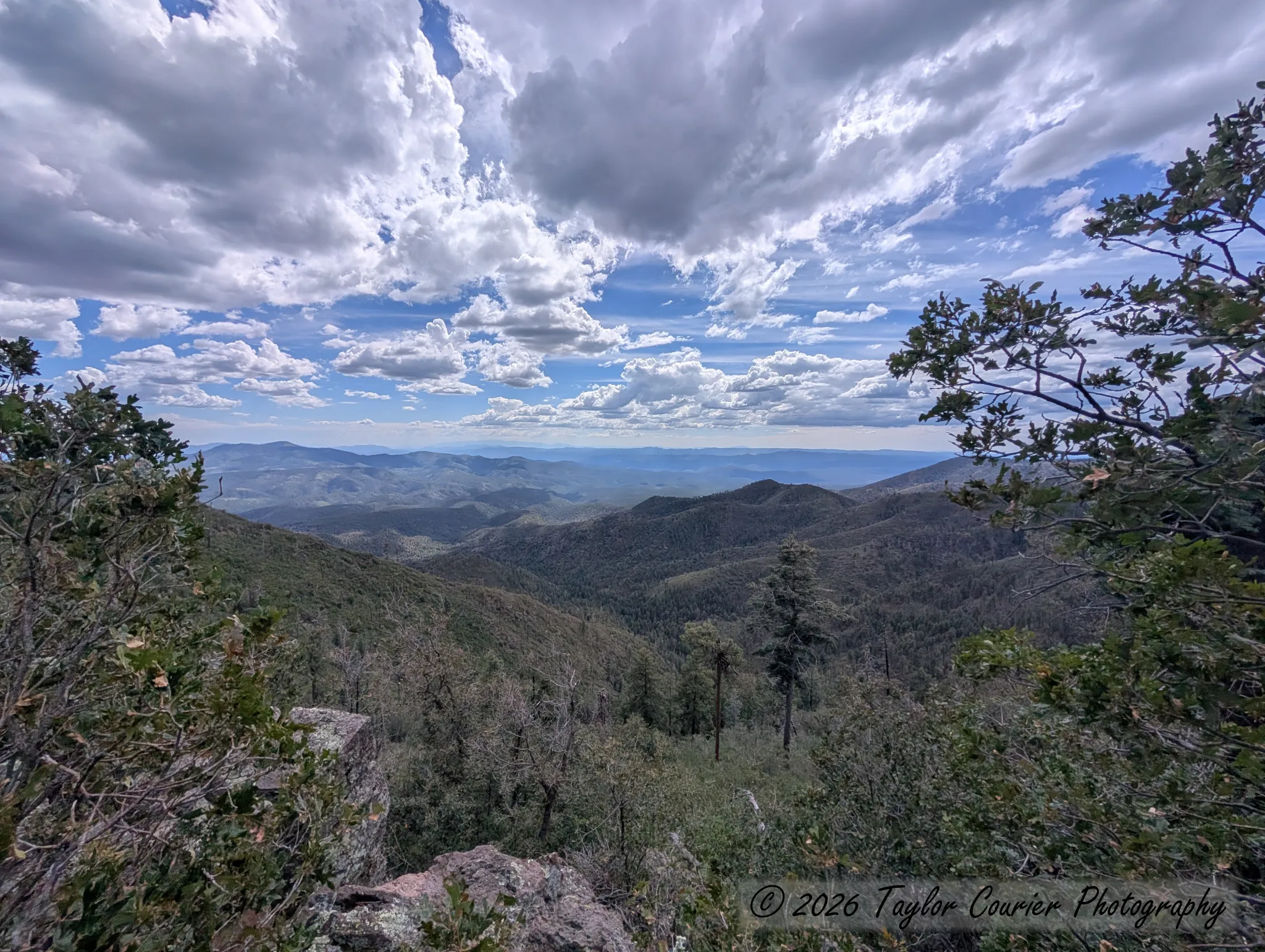 Blue Vista overlook
